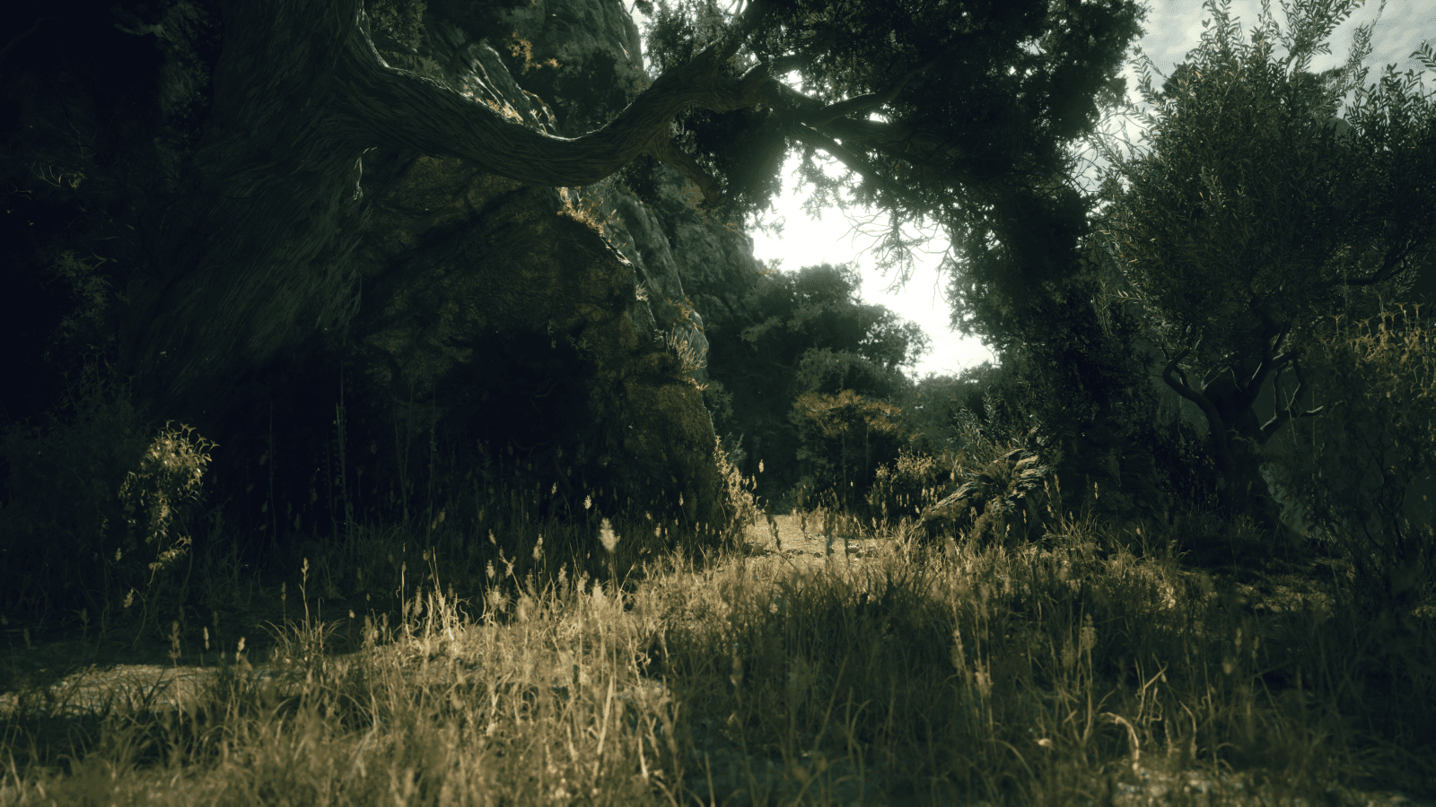 Advanced 3D Animation